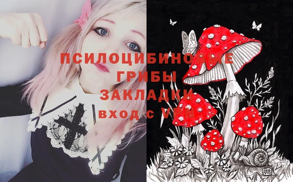 прущие крисы Армянск