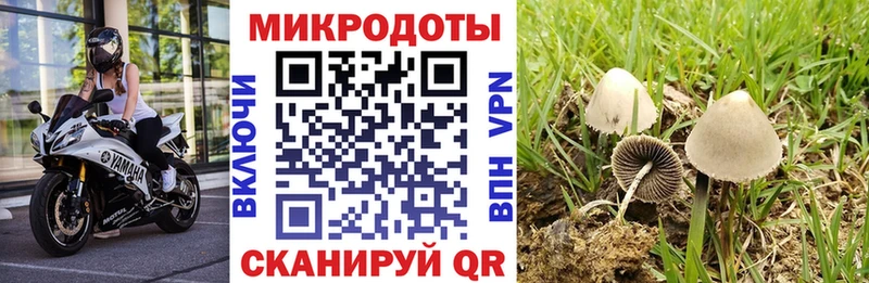 где купить   Баймак  MEGA tor  Галлюциногенные грибы GOLDEN TEACHER 